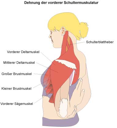 illustration Frankfurt Sport